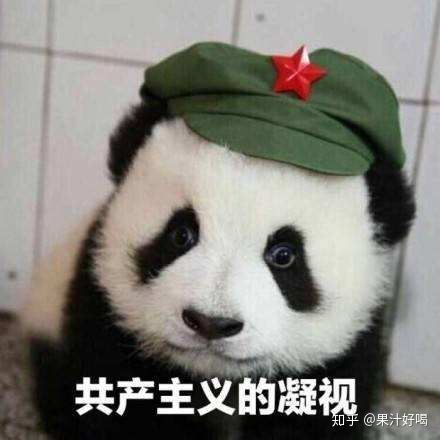 家里老人哭着让我回去过年,我该怎么处理