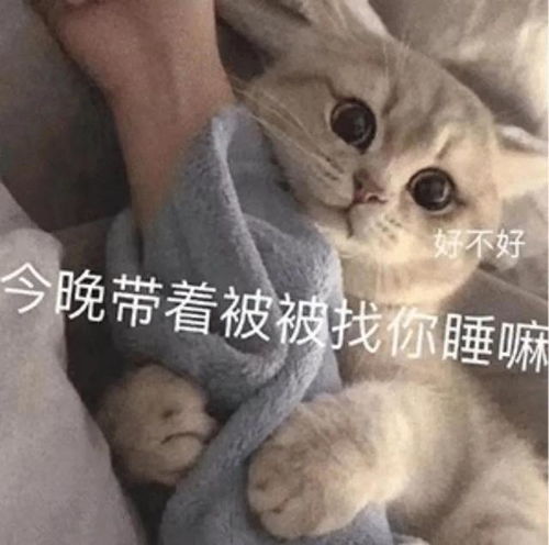 来拿图脱单必备表情包我不许你再孤寡下去了