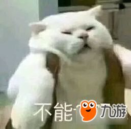 dnf玩家追忆动物套躺着赚钱身家过亿