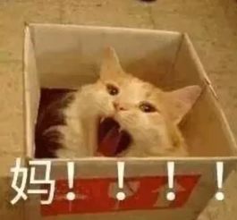惠富天下不是养娃太累,是你方法不对