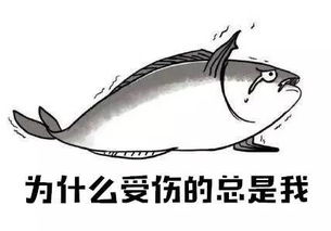 教师节将至,众多网友们爆大料他们的老师竟然