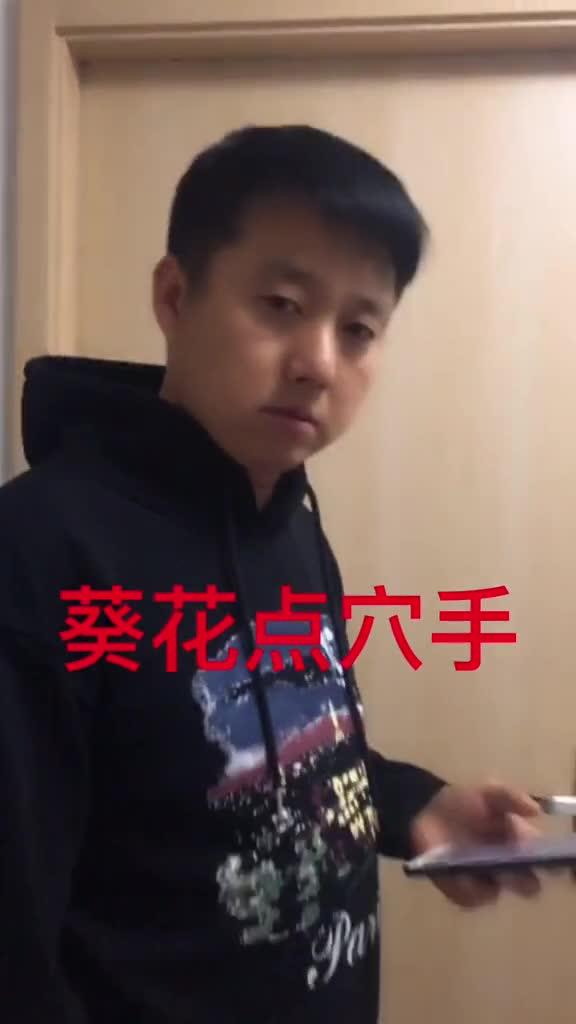 葵花点穴手在这里dou进2019