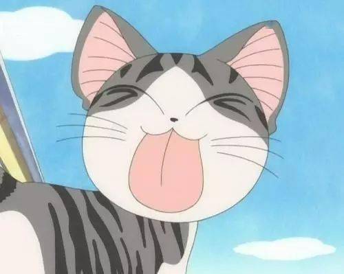 日本人为什么那么喜欢猫浅谈日本猫文化