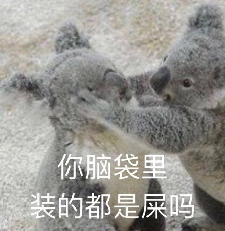 年纪轻轻,玩得倒是很刺激