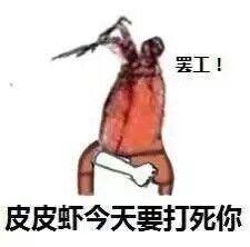 皮皮猪表情包图片猪猪