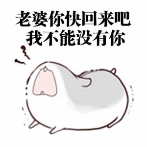 情侣专属的表情包来了哟