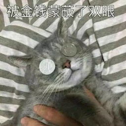 1元钱能换12万快找找你家有没有这些硬币