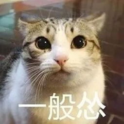 欢笑集锦你出门坐公交给老奶奶让座吗