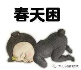 关注睡眠保健康,勿把疾病当春困