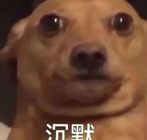国青潜力后卫,带领福建u19创历史,但他也让无数球迷心碎