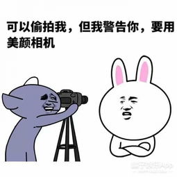 这些事情都敢做活该你单身