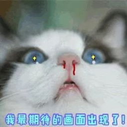 大城市必备三大黑科技,看你家上榜没