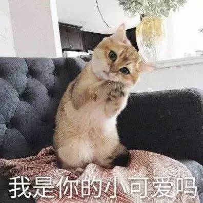 网上生活有一种丑叫做你爸妈嫌你头像丑