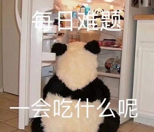 萌宠表情包一起洗澡澡鸭