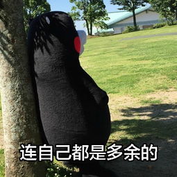 熊本熊手机关机一天后搞笑表情包9qq表情图片之家