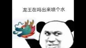 qq龙王的表情包