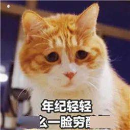 合理消费这个双十一,我不要做剁手党