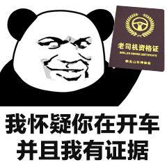 日常沙雕表情包我怀疑你在开车,并且我有证据
