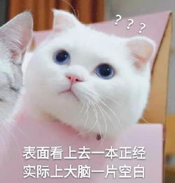男生和另一半接吻时在想些什么女生别气...