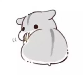 求小饼干表情包图片表情