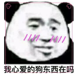 最近火了超奶思表情包,男神看了瞬间沦陷,来来来,快换上