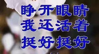 土味表情包枣上好,一天的好心情从我的问候开始