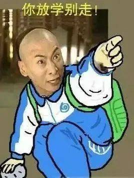 村长表情包尔康