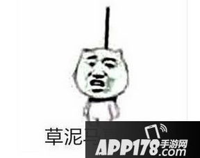 麻烦帮我踢下凳子表情包下载地址帮我踢下板凳谢谢全套系列配图综合...