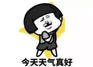 塔吊表情包图片大全抚摸