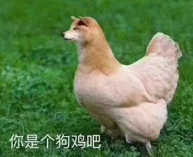 e句话看天下我跟你是好闺蜜哦,我会好好照顾你的男友和房子的