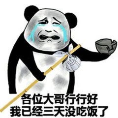 开心一刻护园人发现男孩偷钻入果园,爬上一棵苹果树