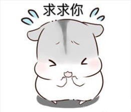 仓鼠日常表情包下载仓鼠日常表情包完整版下载飞翔下载
