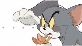 猫和老鼠沙雕表情包第六期