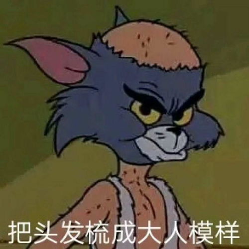污问号表情包猫和老鼠