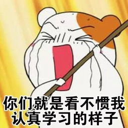 仓鼠管家爱学习表情包我不要放暑假,我要好好学习