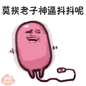 表情包动图no全网