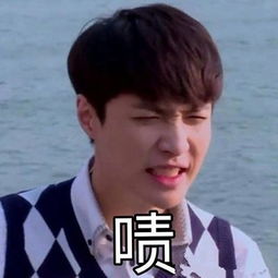 小黑屋巴克的张艺兴表情包小剧场第二回