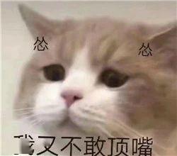 当代空姐,在线卑微