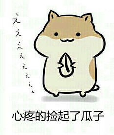 求这个表情包
