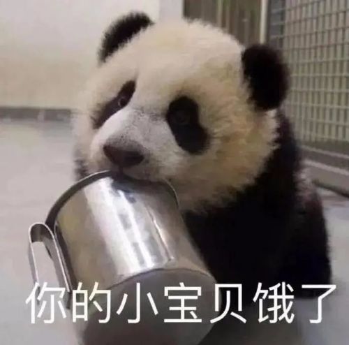 表情包小猫咪坏心眼多着呢