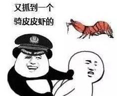 2017第二波表情包热力来袭皮皮虾,象拔蚌,阿拉一道走
