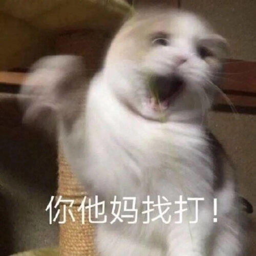 少女的表情包仓库上新啦