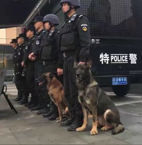 狗狗警官拿着证表情包