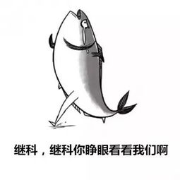 里约奥运会闭幕不仅有最佳段子手白岩松,这些奥运之最都在这儿了