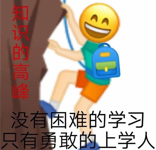 晚安,农大上学人