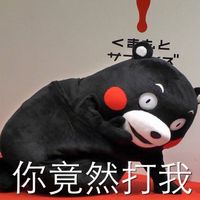 熊本熊表情包微信专属qq表情大全日本熊本熊表情聊天表情带字