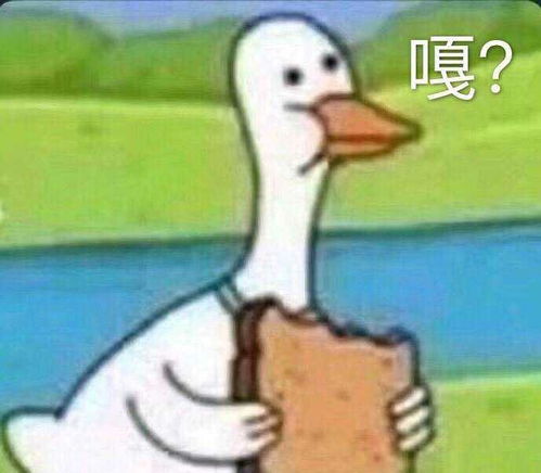 狗头人系列表情包贼船