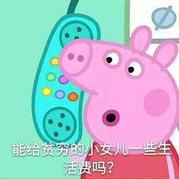 要生活费表情包视频小猪佩奇