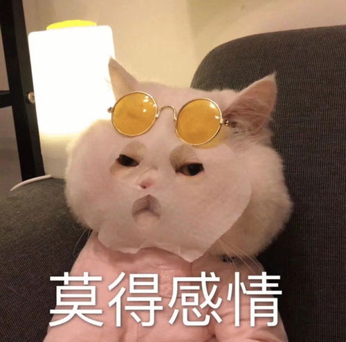 现在上海到重庆还要隔离14天吗