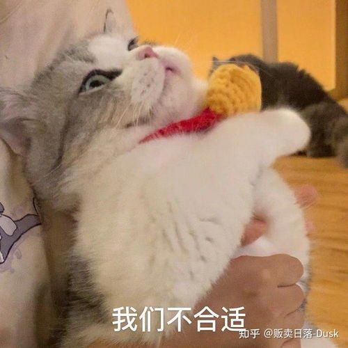 很棒所有的表情包